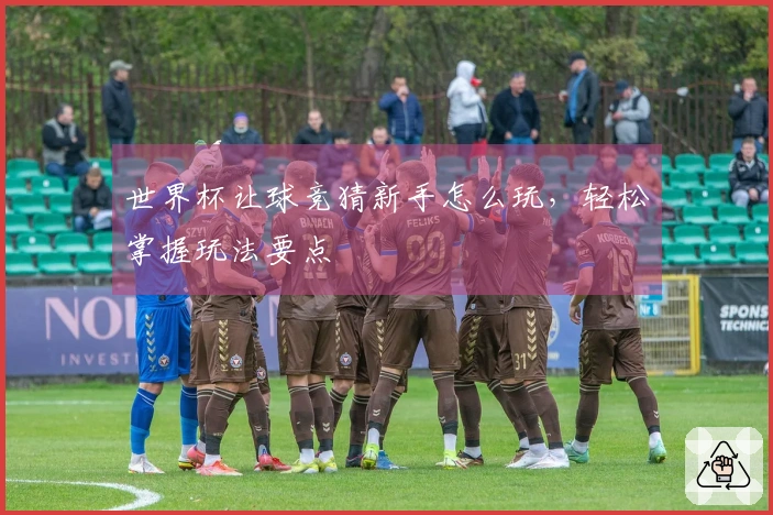 世界杯让球竞猜新手怎么玩，轻松掌握玩法要点
