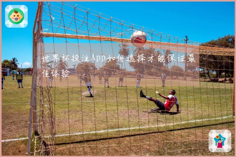世界杯投注App如何选择才能保证最佳体验