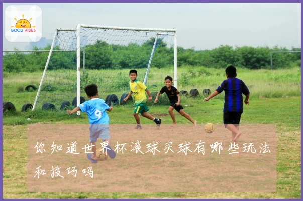 你知道世界杯滚球买球有哪些玩法和技巧吗