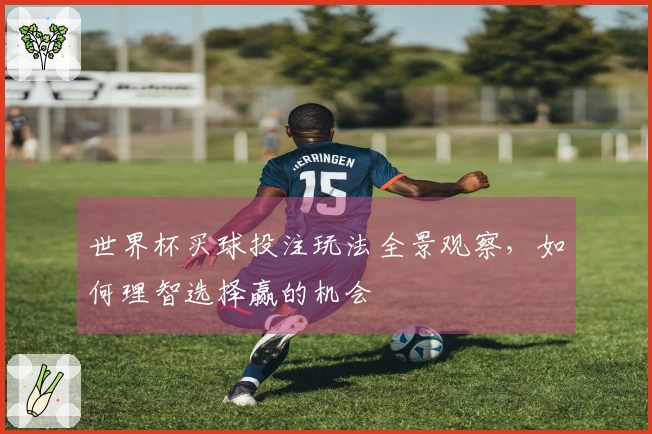 世界杯买球投注玩法全景观察，如何理智选择赢的机会
