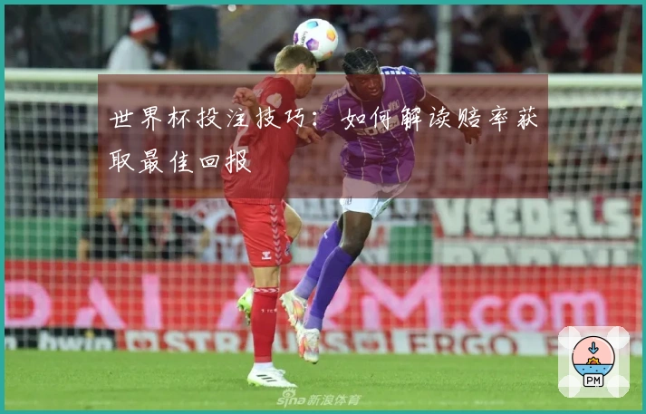 世界杯投注技巧：如何解读赔率获取最佳回报