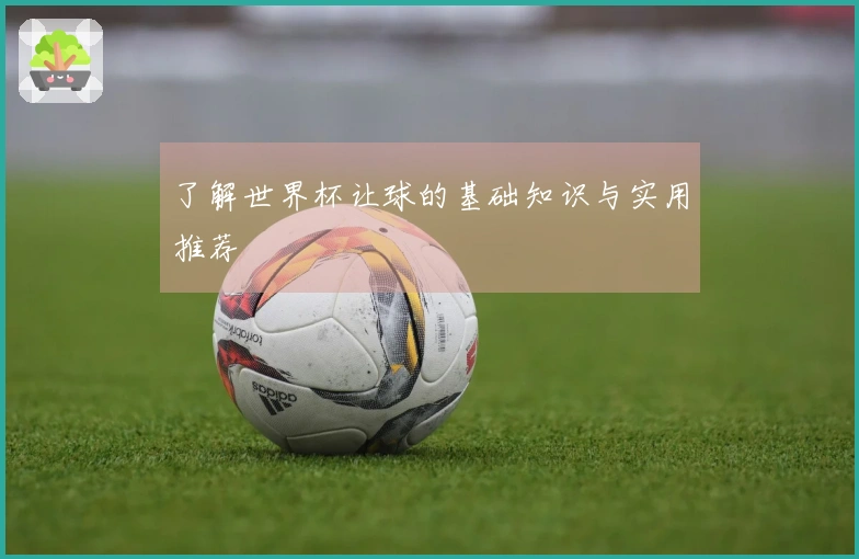 了解世界杯让球的基础知识与实用推荐