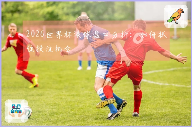2026世界杯滚球盘口分析：如何抓住投注机会