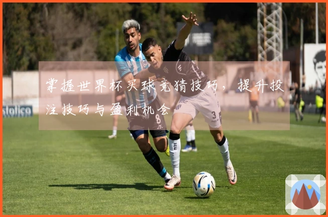 掌握世界杯买球竞猜技巧，提升投注技巧与盈利机会