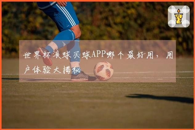 世界杯滚球买球APP哪个最好用，用户体验大揭秘