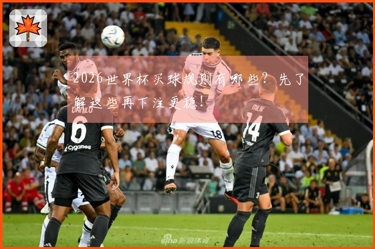 2026世界杯买球规则有哪些？先了解这些再下注更稳！