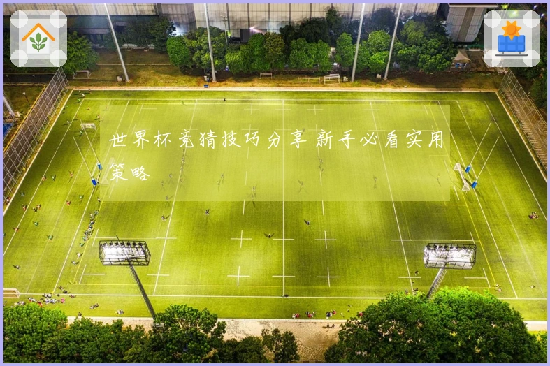 世界杯竞猜技巧分享 新手必看实用策略