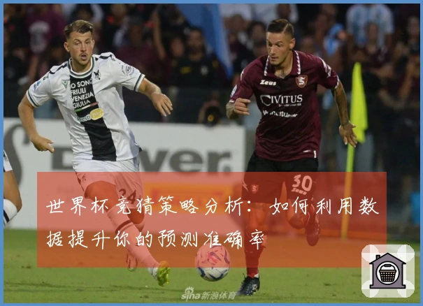 世界杯竞猜策略分析：如何利用数据提升你的预测准确率