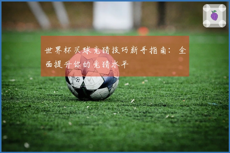 世界杯买球竞猜技巧新手指南：全面提升你的竞猜水平