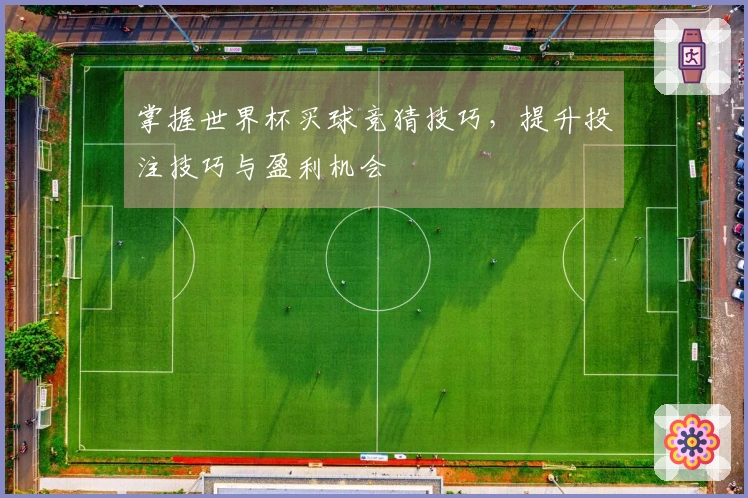 掌握世界杯买球竞猜技巧，提升投注技巧与盈利机会