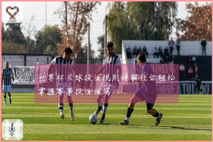 世界杯买球投注规则详解让你轻松掌握赛事投注诀窍